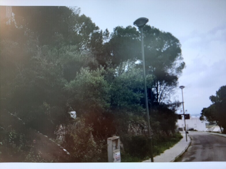 Land in Alzira, Valencia for sale - Primary Photo - Image 3 of 14