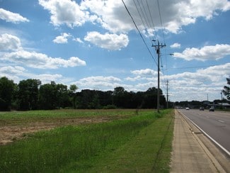 More details for 314 S Palmer St, Adamsville, TN - Land for Sale