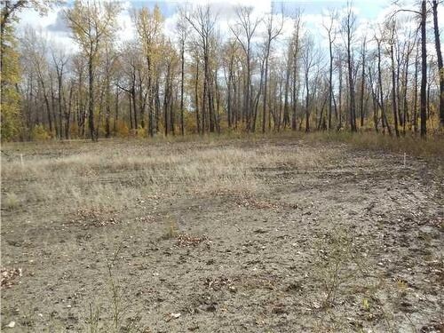 55 Riverside Gate, Okotoks, AB à vendre - Photo principale - Image 1 de 1