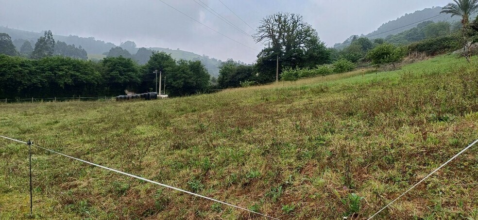 Pomarada Barrero. Illas, S/N, Illas, Asturias à vendre - Photo du bâtiment - Image 2 de 13