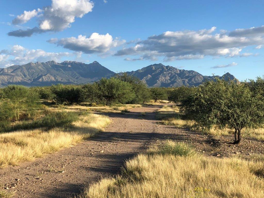 3305 Camino De La Canoa, Green Valley, AZ à vendre Photo principale- Image 1 de 1