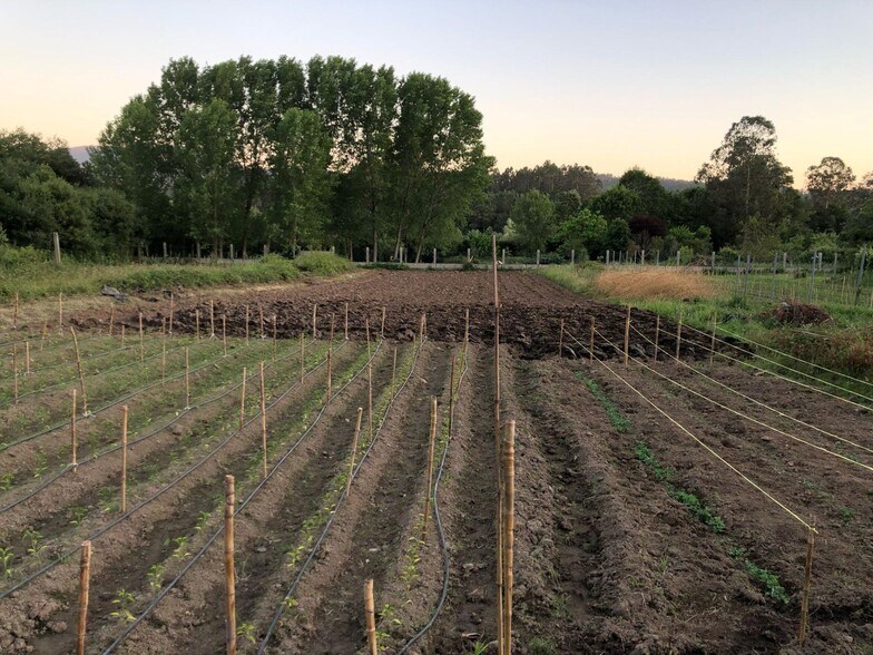 Terrain dans Meis, Pontevedra à vendre - Photo du bâtiment - Image 3 de 19