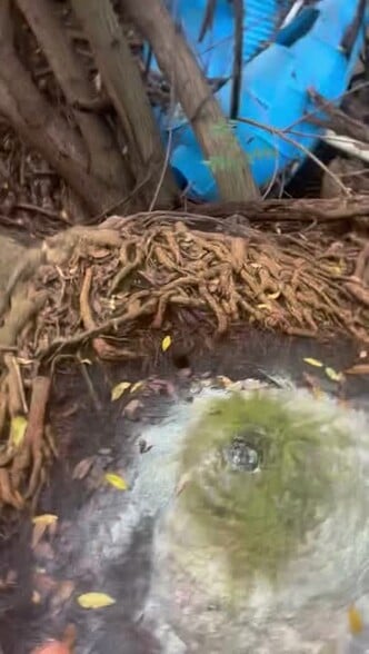 318 Mamie St, Chokoloskee, FL for sale - Commercial Listing Video - Image 2 of 27