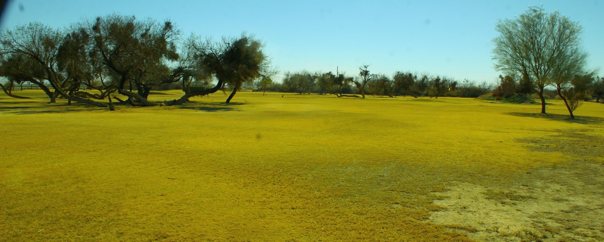 8011 S Highway 95, Mohave Valley, AZ for sale Primary Photo- Image 1 of 1