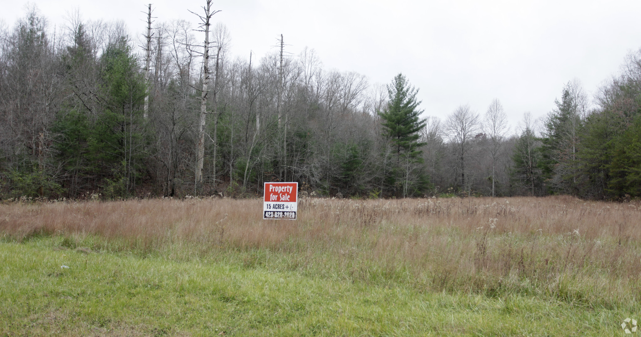 7679 Us-27, Sunbright, TN for sale Primary Photo- Image 1 of 1