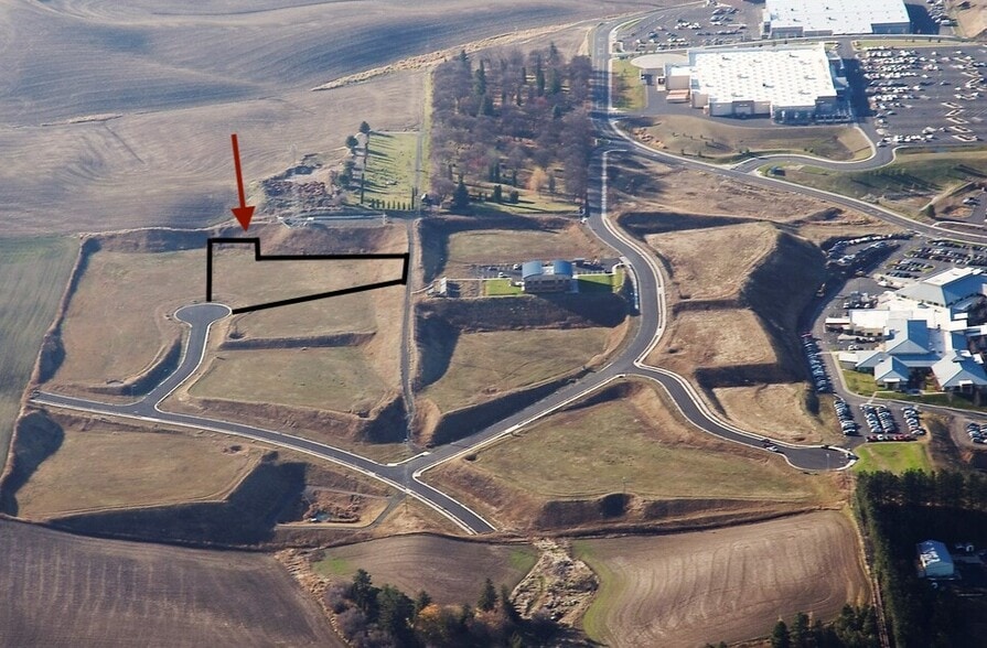 2010 SE Grande Ronde Ct, Pullman, WA à vendre - Aérien - Image 1 de 5