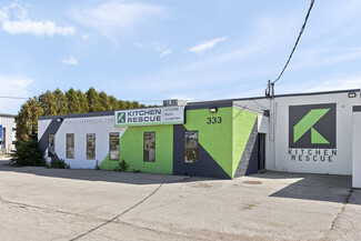 Plus de détails pour 333 Holden Av, Windsor, ON - Industriel à vendre