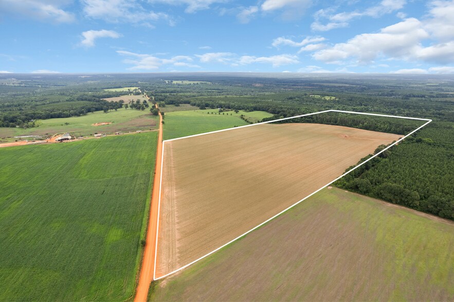 0 Old Stage rd, Repton, AL for sale - Building Photo - Image 3 of 27