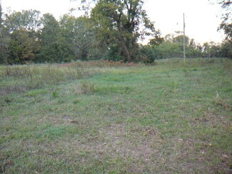 Plus de détails pour 502 N Calhoun St, Calhoun Falls, SC - Terrain à vendre