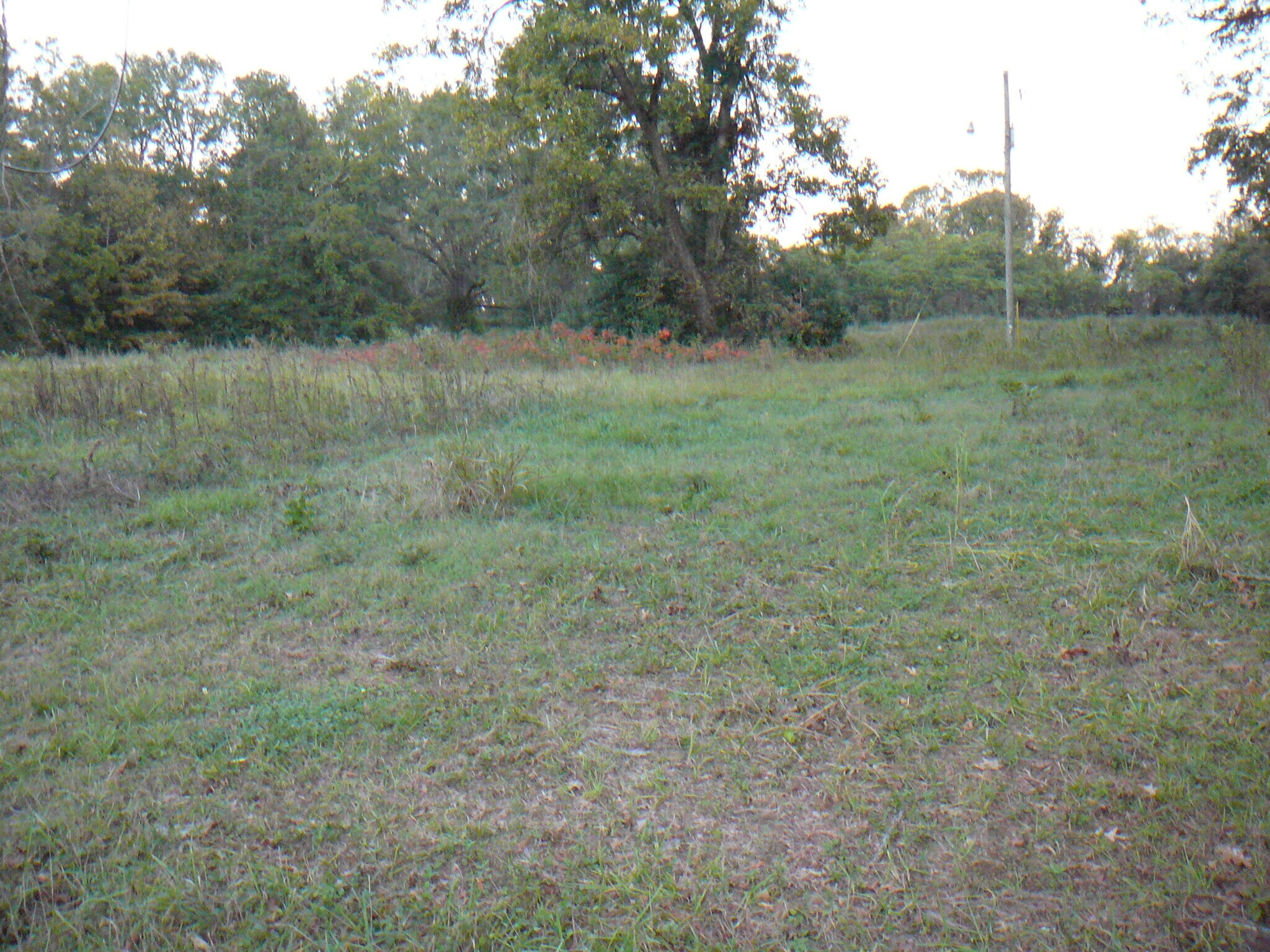 502 N Calhoun St, Calhoun Falls, SC à vendre Photo du bâtiment- Image 1 de 6