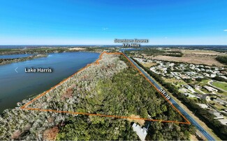 Plus de détails pour State Road 19, Tavares, FL - Terrain à vendre