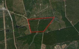 Plus de détails pour Herrings Chapel Rd, Rocky Point, NC - Terrain à vendre