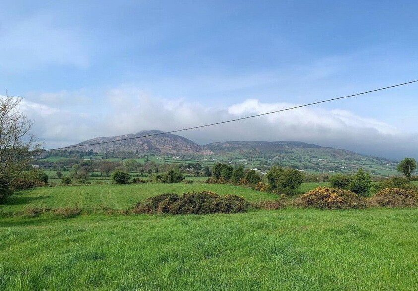 Cloghinny Rd, Newry à vendre - Photo principale - Image 1 de 1