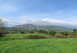 Plus de détails pour Cloghinny Rd, Newry - Terrain à vendre