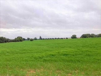 Plus de détails pour Proc. Simplificado, Campo de Criptana - Terrain à vendre