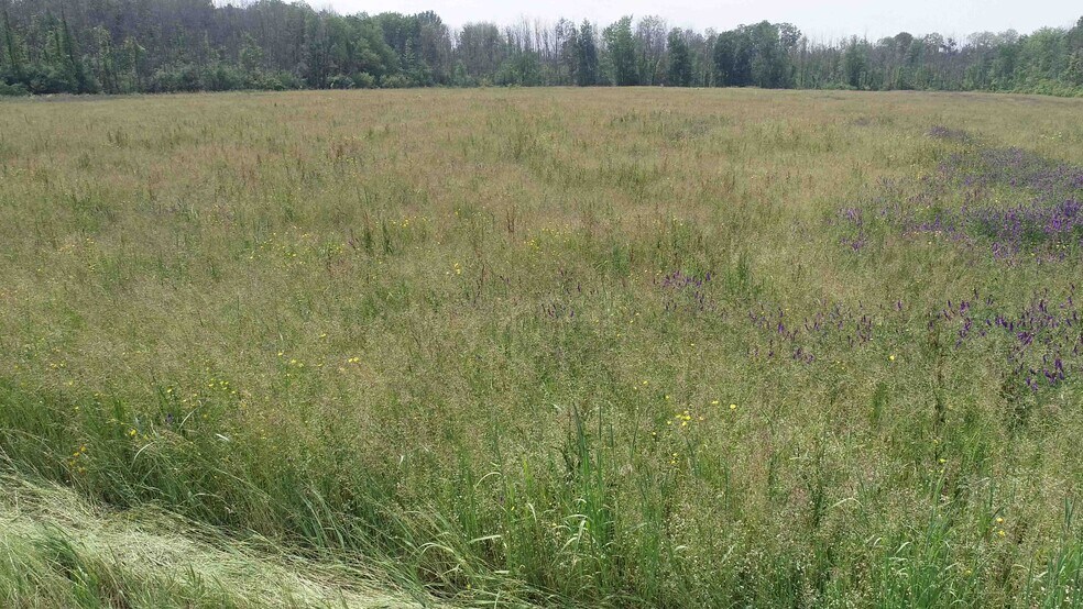 12 Schroeppel Rd, Pennellville, NY à vendre - Photo du bâtiment - Image 3 de 6