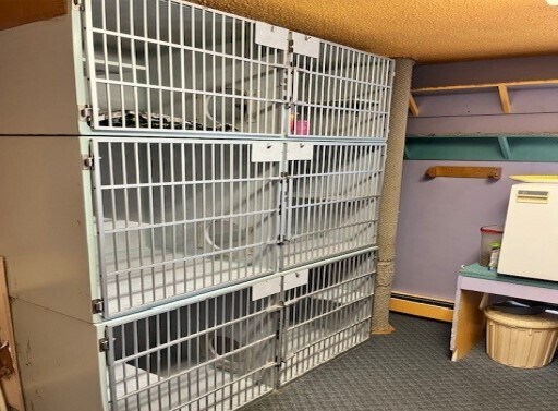 5 Sharon Ave, Norfolk, MA à vendre - Photo intérieure - Image 2 de 5