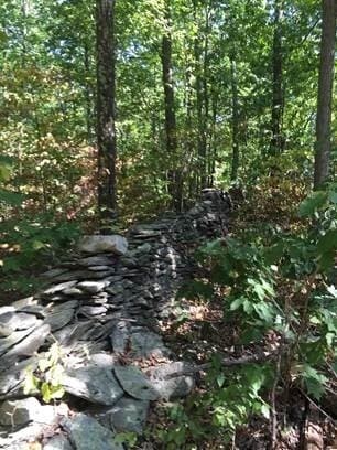 More details for County Road 27 / cross St. Greeley Road, Taghkanic, NY - Land for Sale