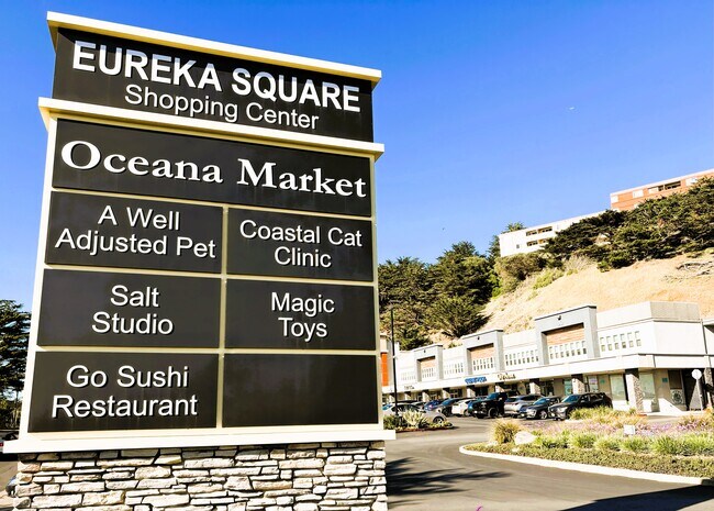 Plus de détails pour 20-210 Eureka Square Dr, Pacifica, CA - Bureau, Commerce de détail à louer
