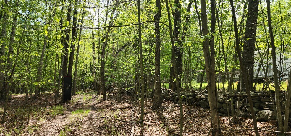 1433 Co 56 Rd, Mountain Dale, NY à vendre - Photo du bâtiment - Image 3 de 18