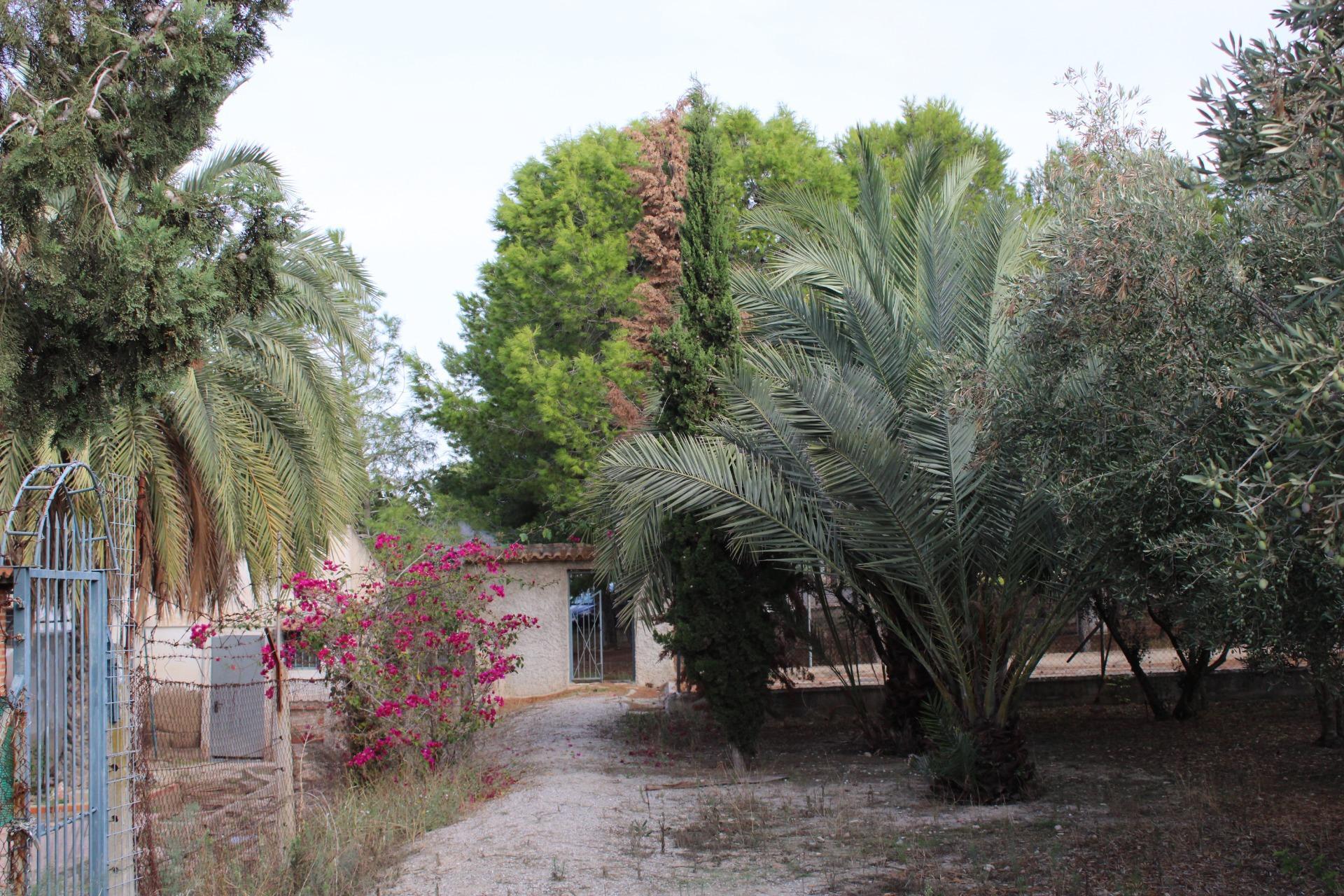 Land in Molina de Segura, Murcia for sale Building Photo- Image 1 of 15