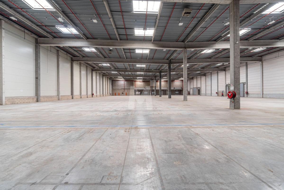 Industrial in Combs-la-Ville for lease Building Photo- Image 1 of 15
