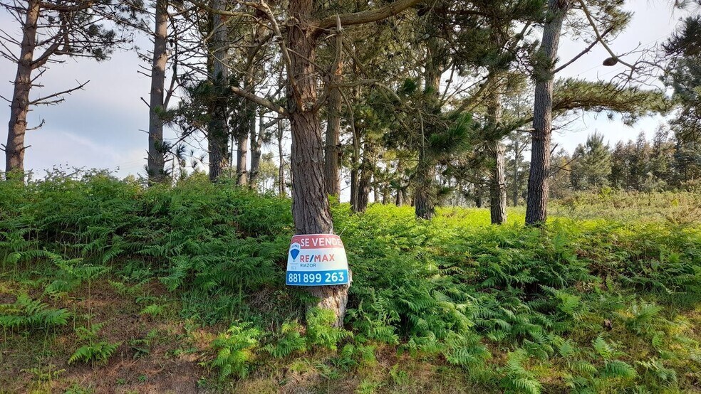 Lugar Val Arriba, 3, A Laracha, La Coruna à vendre - Photo du bâtiment - Image 1 de 28