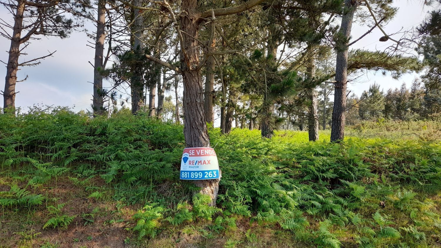 Lugar Val Arriba, 3, A Laracha, La Coruna for sale Primary Photo- Image 1 of 29