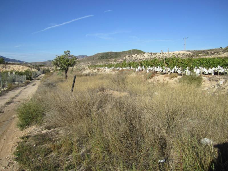Terrain dans La Romana, Alicante à vendre Aérien- Image 1 de 5