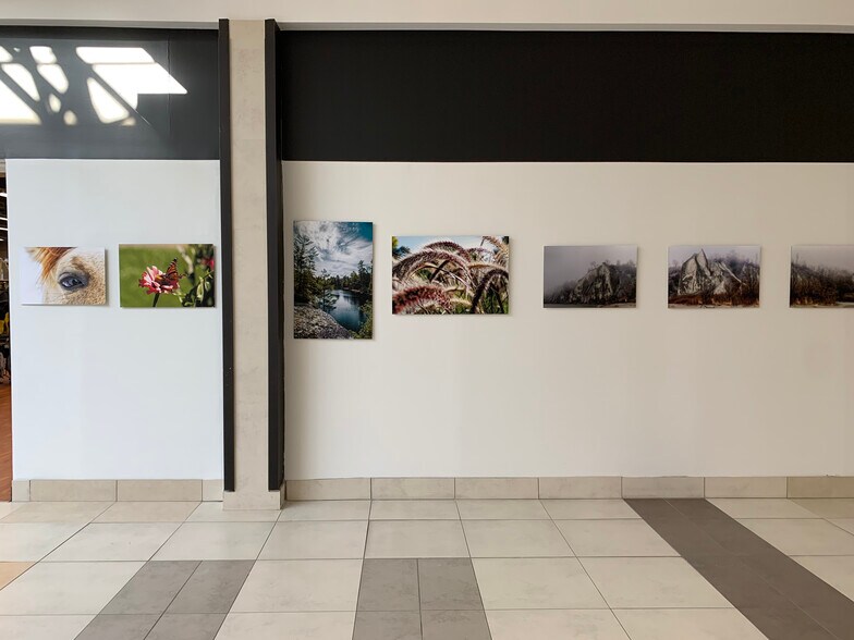 243 King St E, Bowmanville, ON à louer - Photo intérieure - Image 3 de 3