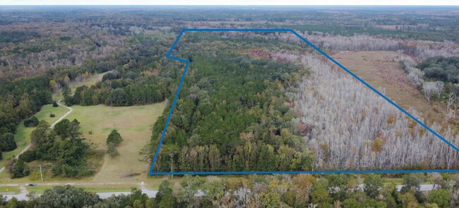 Plus de détails pour 1931 Coastal hwy, Midway, GA - Terrain à vendre