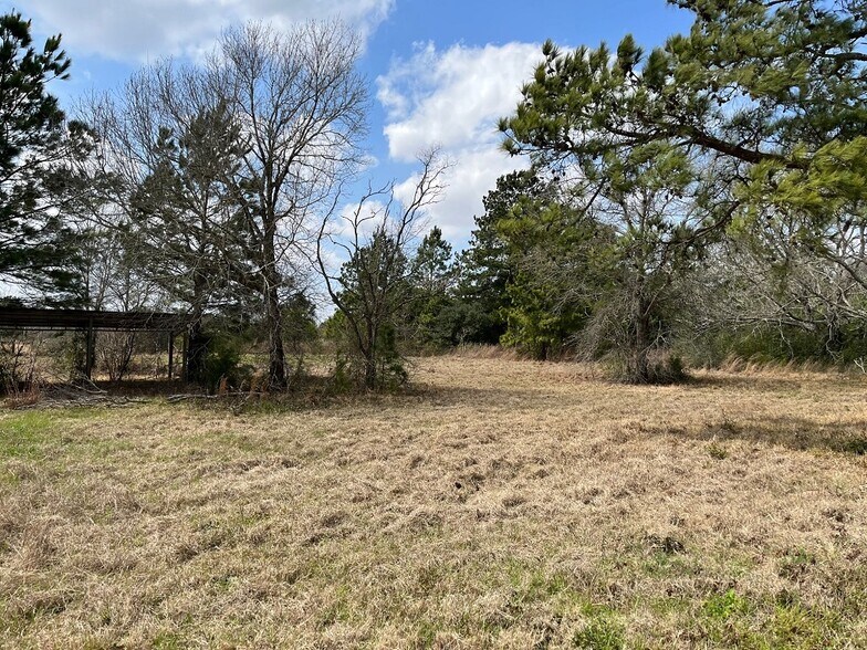 6377 Highway 36, Sealy, TX à louer - Photo du bâtiment - Image 3 de 6
