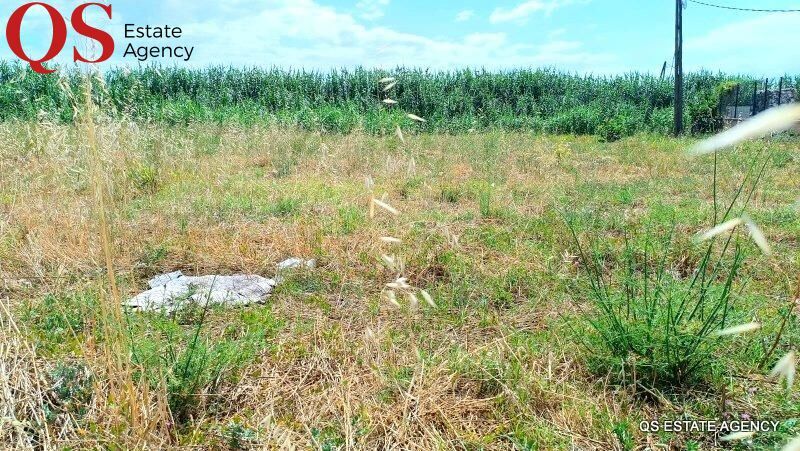 Land in Palafolls, Barcelona for sale - Building Photo - Image 2 of 7