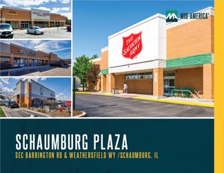 Plus de détails pour 301-395 S Barrington Rd, Schaumburg, IL - Commerce de détail à louer