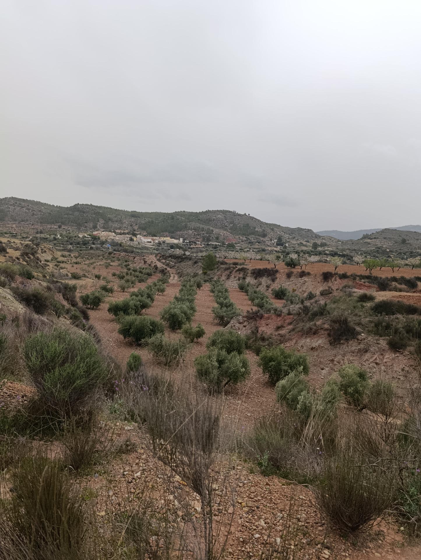 Terrain dans Cehegín, Murcia à vendre Aérien- Image 1 de 13