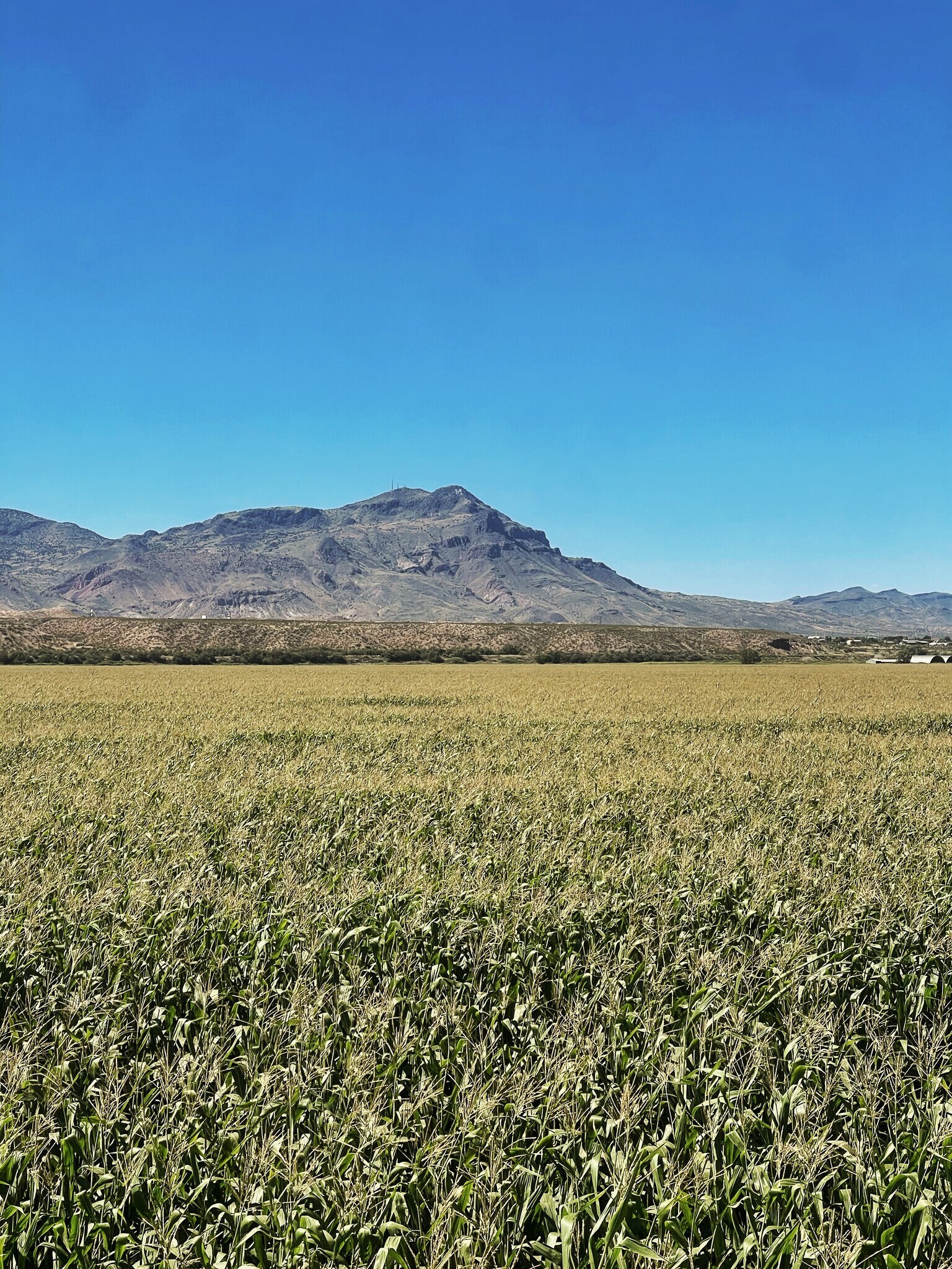 1800 Hope Farms Rd, Socorro, NM for sale Primary Photo- Image 1 of 8
