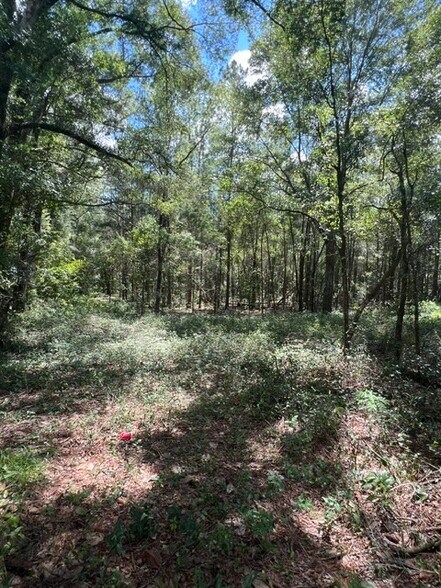 16958 NW US Highway 441, High Springs, FL for lease - Building Photo - Image 2 of 10