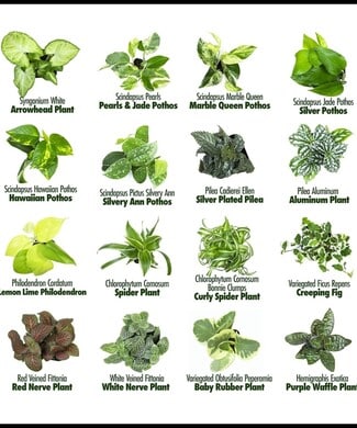 More details for 306 Lake Dr, Queenstown, MD - Land for Lease