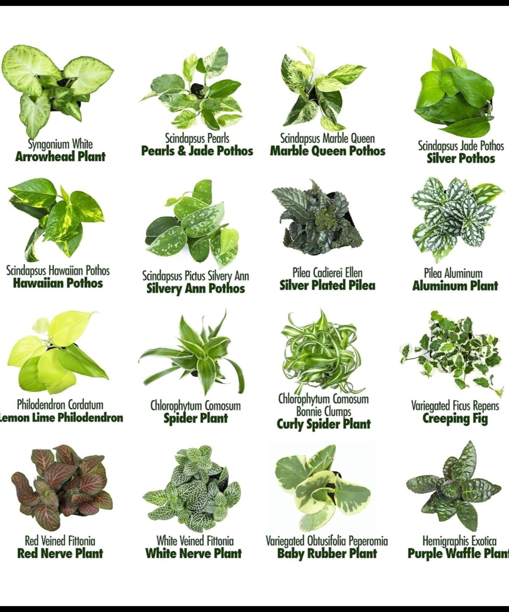 306 Lake Dr, Queenstown, MD for lease Other- Image 1 of 16