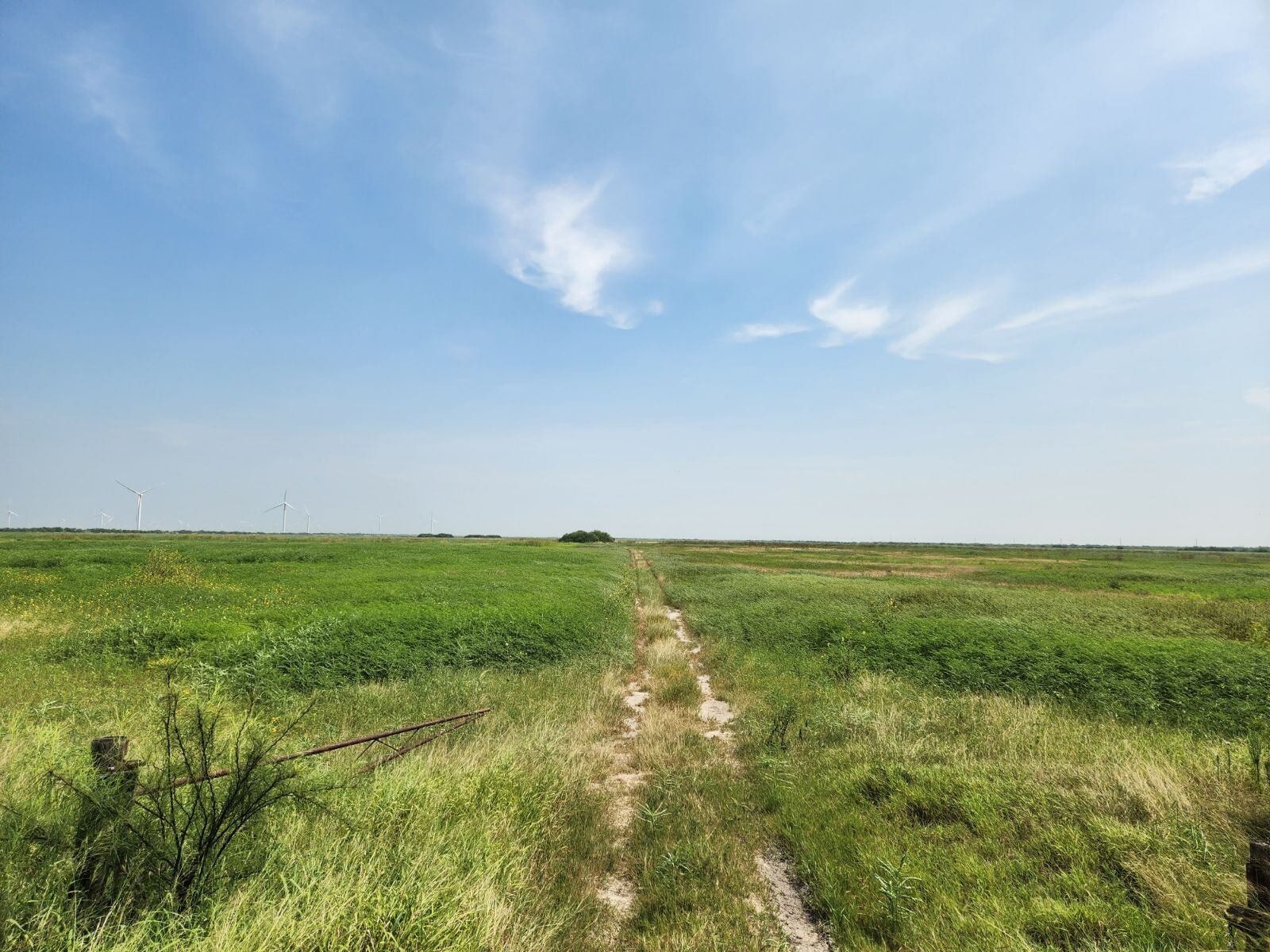 TBD FM 106, Rio Hondo, TX for sale Primary Photo- Image 1 of 21