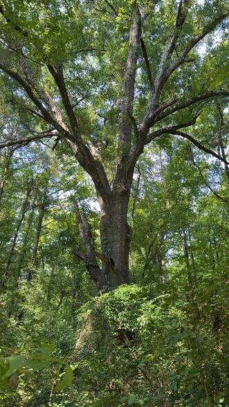 Glen Leaf, Shreveport, LA for sale - Building Photo - Image 2 of 5