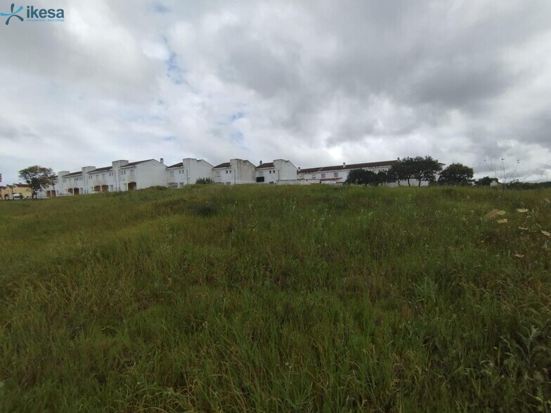 Land in Alosno, Huelva for sale - Building Photo - Image 3 of 10