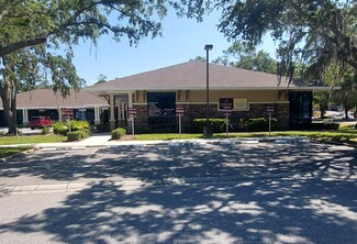 Plus de détails pour 301 East Lake Woodlands Pkwy, Oldsmar, FL - Bureau à vendre