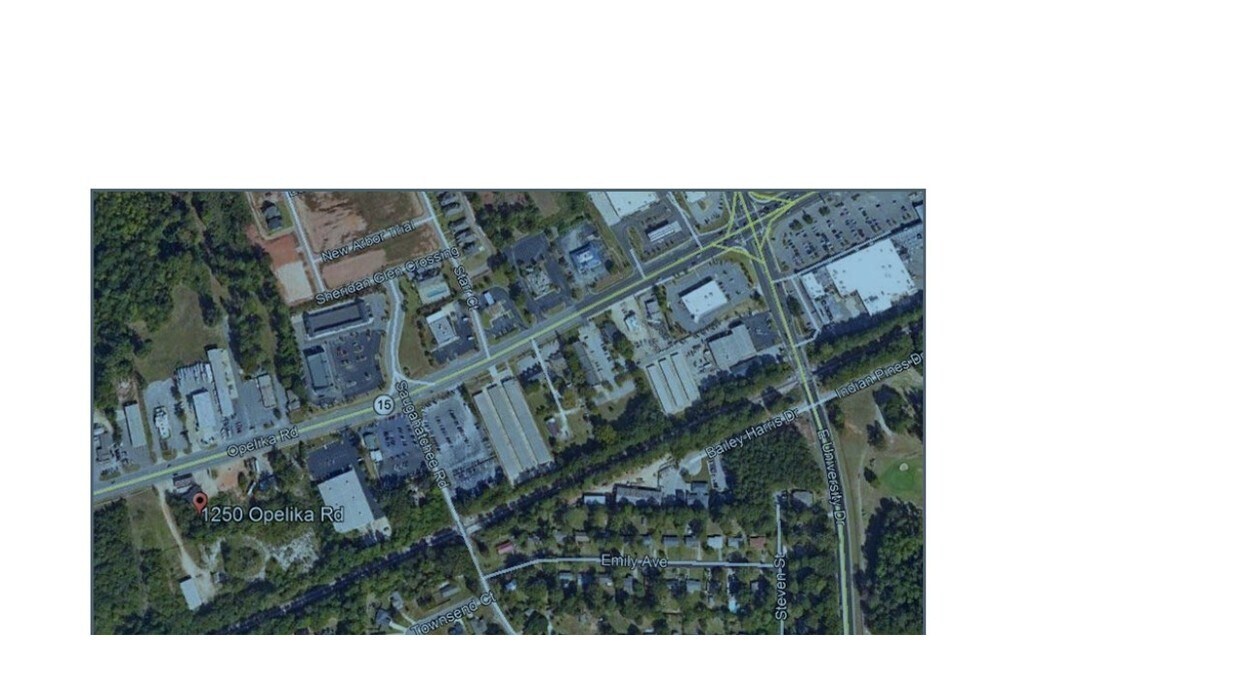 1250 Opelika Rd, Auburn, AL for sale Primary Photo- Image 1 of 2