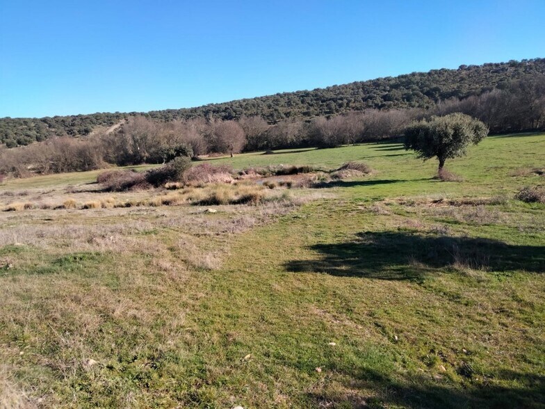 Terrain dans Encina de San Silvestre, Salamanca à louer - Aérien - Image 2 de 5