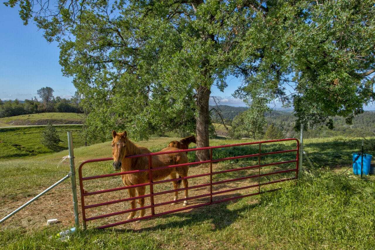 Trembath Mountain Road, Fiddletown, CA for sale Primary Photo- Image 1 of 53