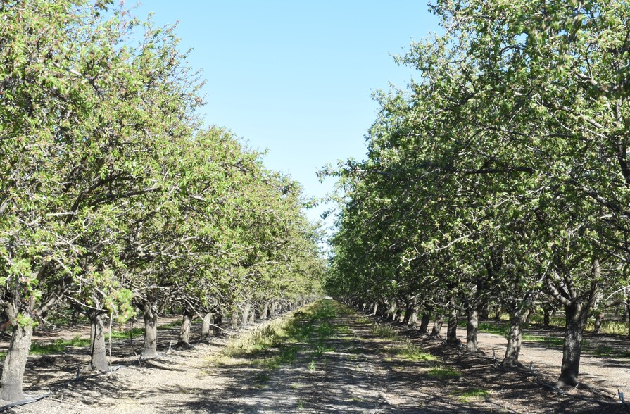 23820 W Adams Ave, San Joaquin, CA for sale - Building Photo - Image 1 of 13