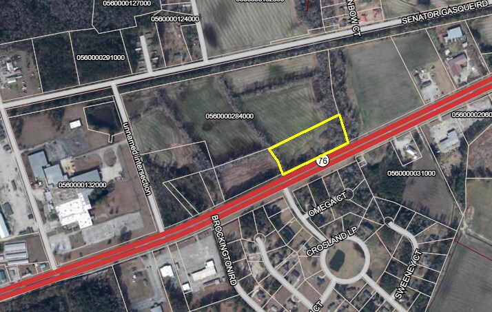 40 Acres Highway 76, Mullins, SC à vendre - Photo du bâtiment - Image 2 de 3