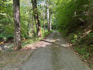 Plus de détails pour 731 Hardin Ln, Sevierville, TN - Terrain à vendre