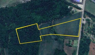 More details for Raccoon Road, Manning, SC - Land for Sale